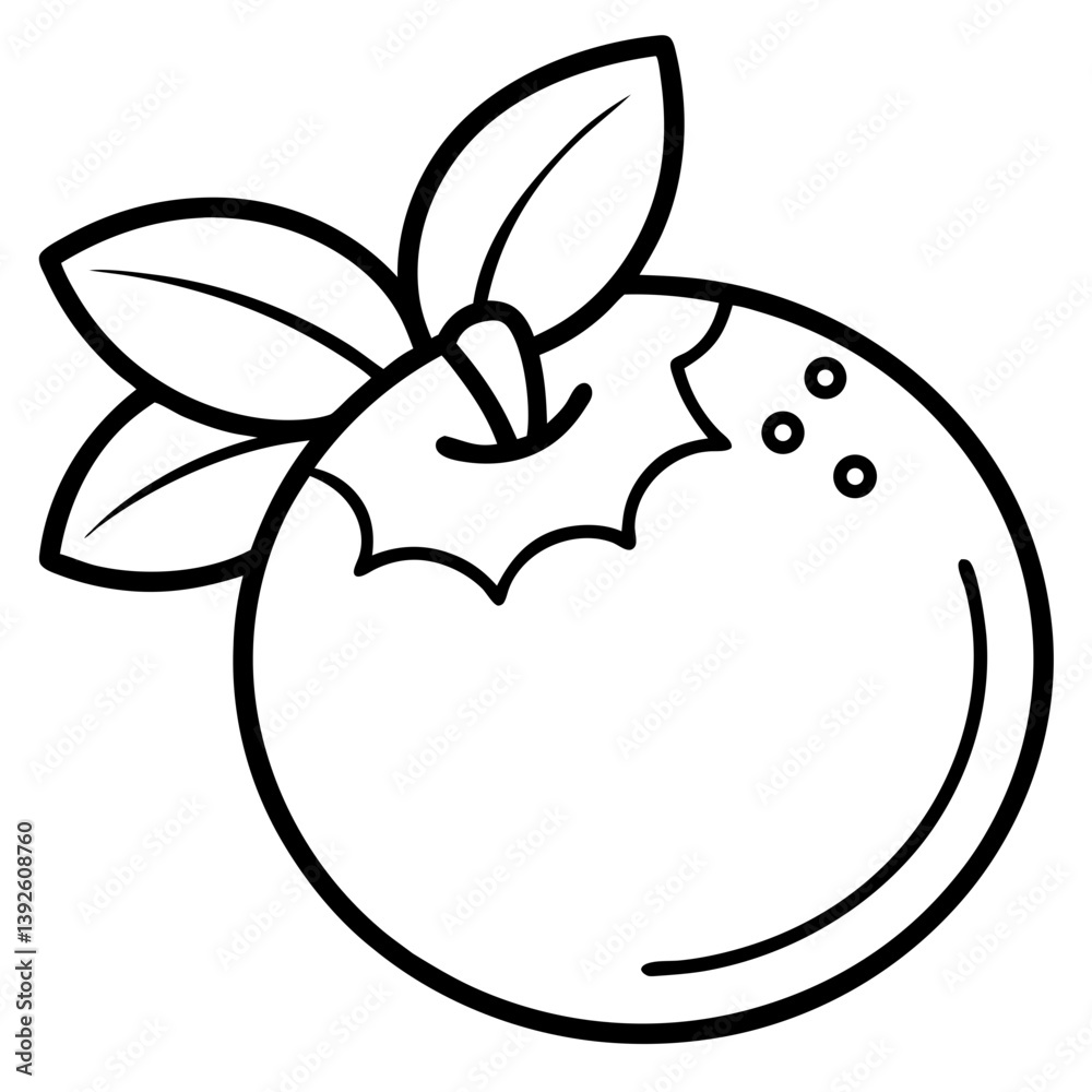 Blueberry Fruit Coloring Book Page – Line Art Outline Drawing for Botanical and Food Illustration Blueberry Fruit Coloring Book Page – Line Art Outline Drawing for Botanical and Food Illustration