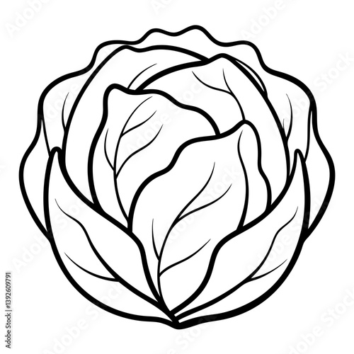 Cabbage Coloring Book Page – Line Art Outline Drawing for Vegetable Botanical Illustration