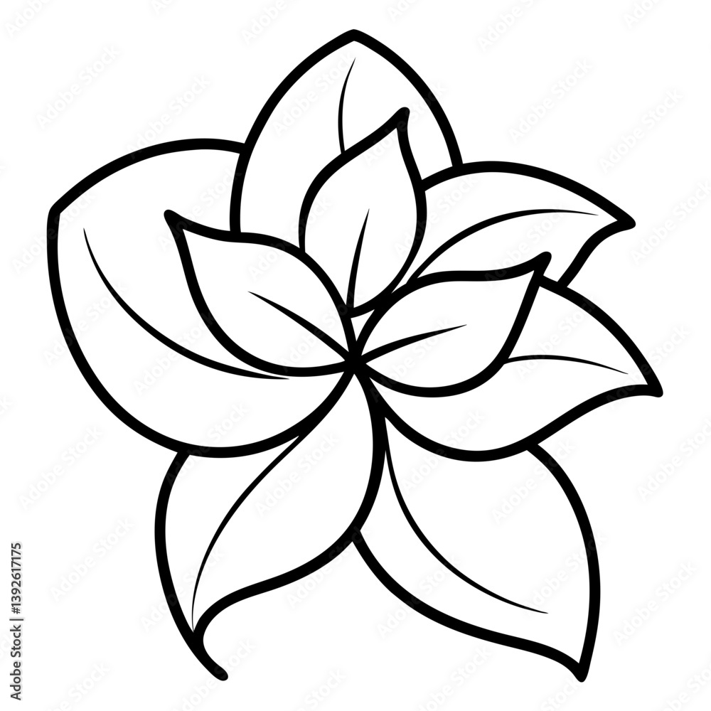 Fototapeta premium Jasmine Flower Coloring Book Page – Line Art Outline Drawing for Floral Botanical Illustration