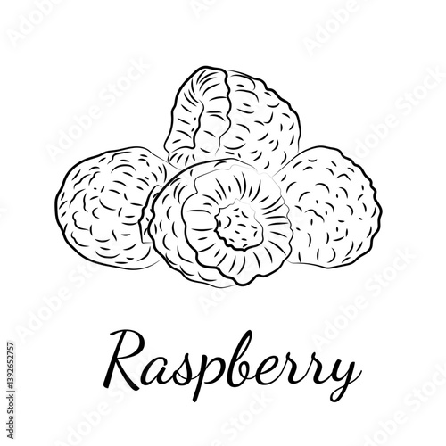 Black and white line art illustration of raspberries with handwritten lettering. Minimalist botanical fruit drawing, perfect for coloring books, packaging, kitchen decor, or healthy food designs.