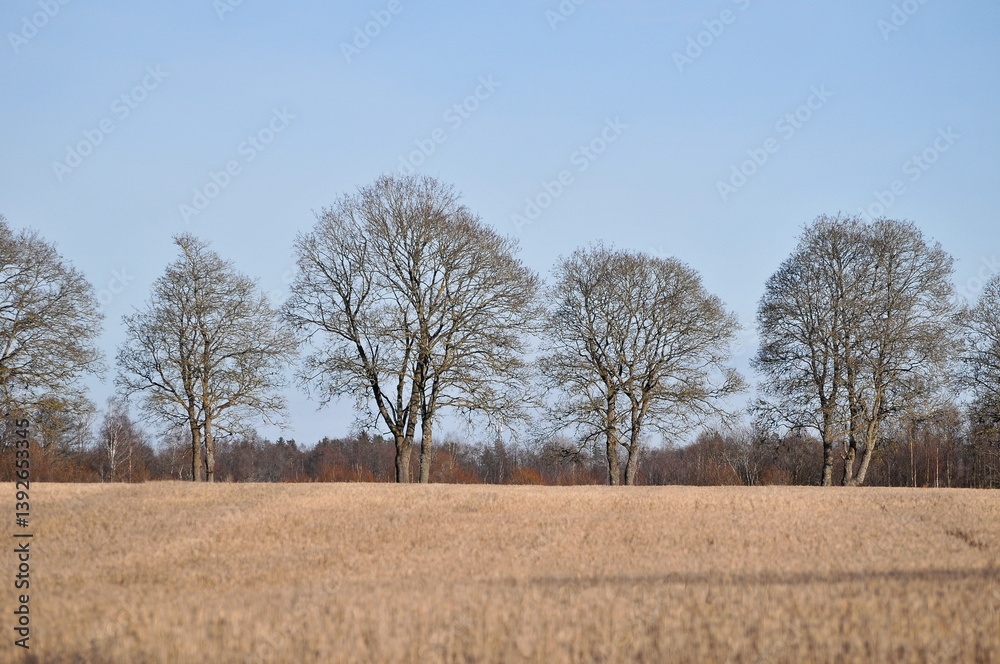 Scenic view of a field Scenic view of a field