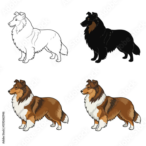 Collie Dogs Illustration White with Black, and Brown.