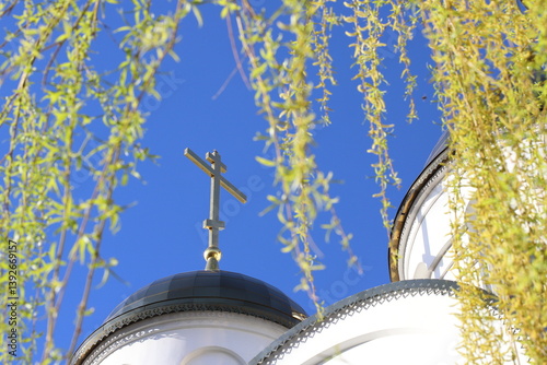 Green willow branches with a view of the church
In early spring, through the green willow branches in the park, a church with an Orthodox cross is visible. The concept of Orthodoxy.