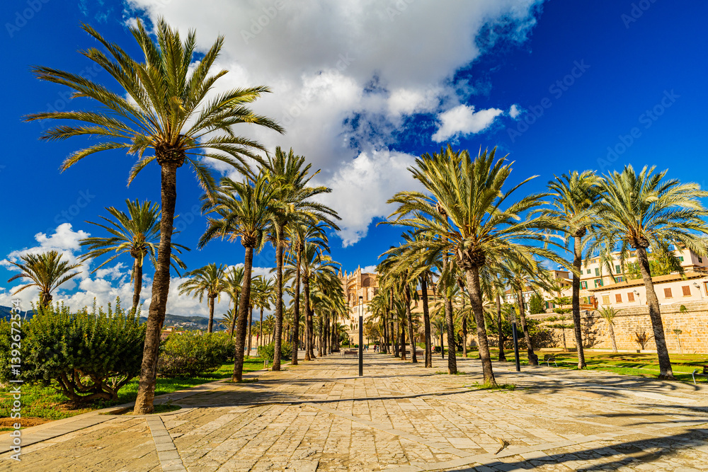 Fototapeta premium La Seu, Majorca