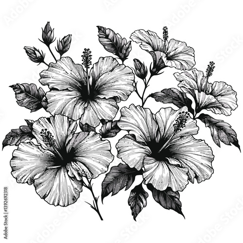 Black and white hibiscus bouquet illustration with detailed leaves isolated on white background