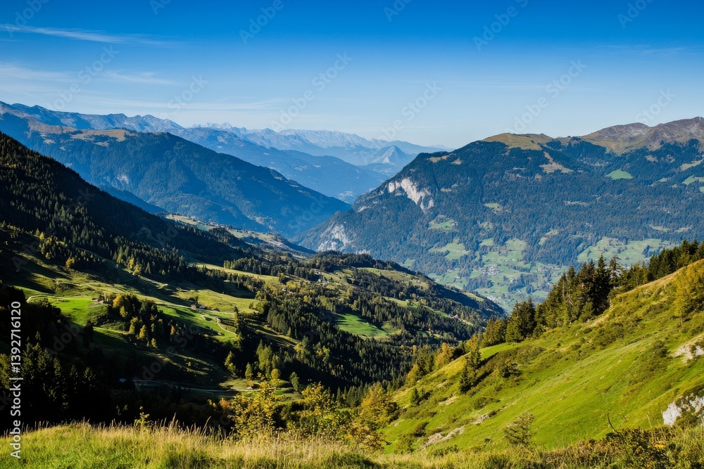 Fototapeta premium Mountain valley with trees and clear blue sky in daylight scene