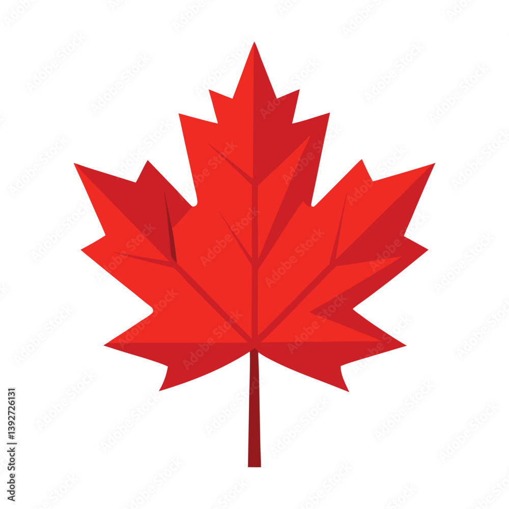 A vector illustration of Maple Leaves isolated on white background A vector illustration of Maple Leaves isolated on white background