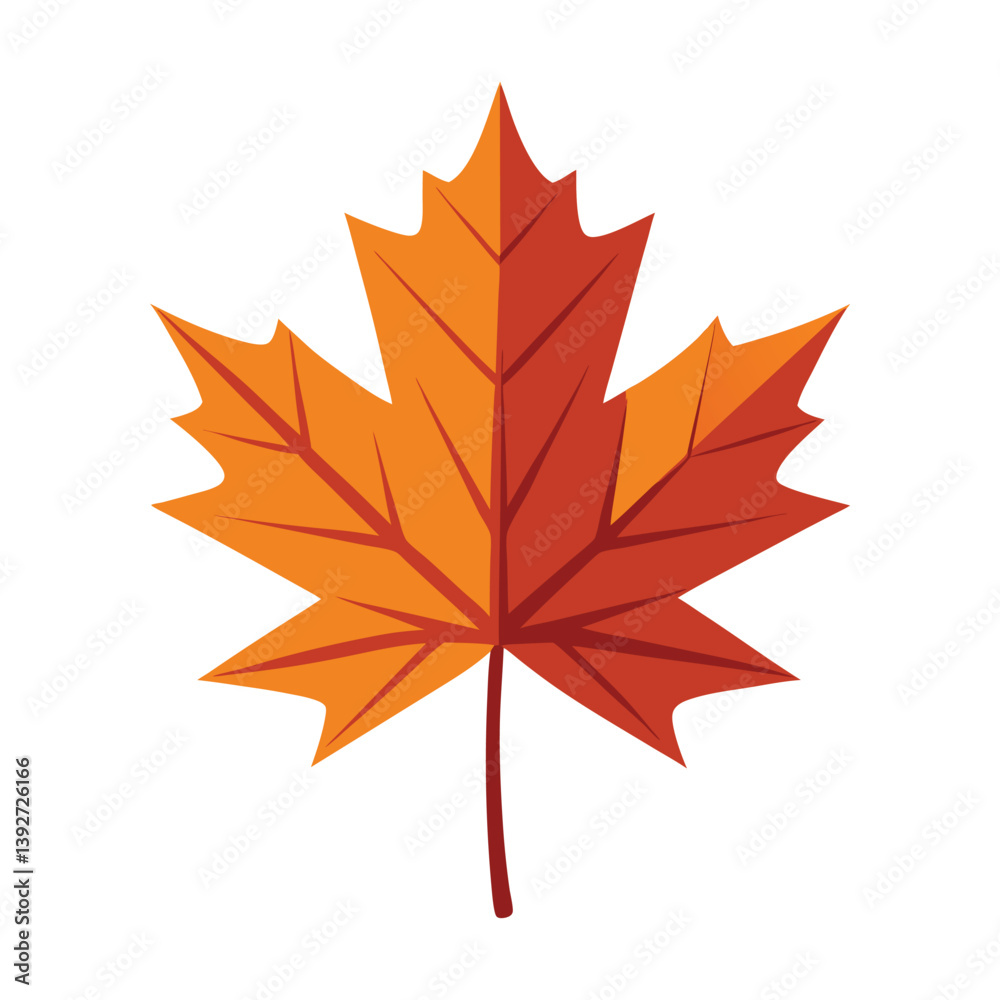 A vector illustration of Maple Leaves isolated on white background A vector illustration of Maple Leaves isolated on white background