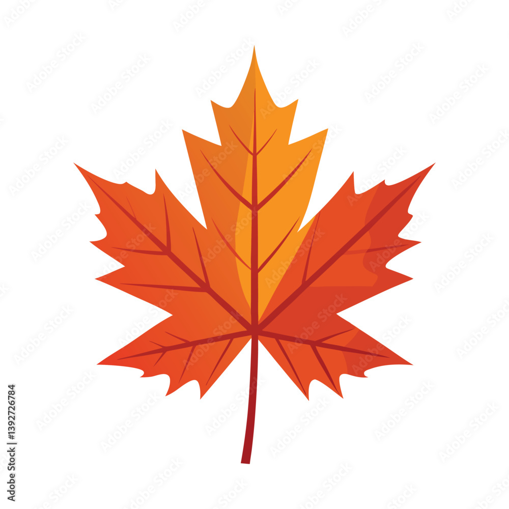 A vector illustration of Maple Leaves isolated on white background A vector illustration of Maple Leaves isolated on white background