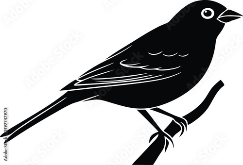 Beautiful Lark Bunting sitting forward on the branch silhouette black color vector illustration