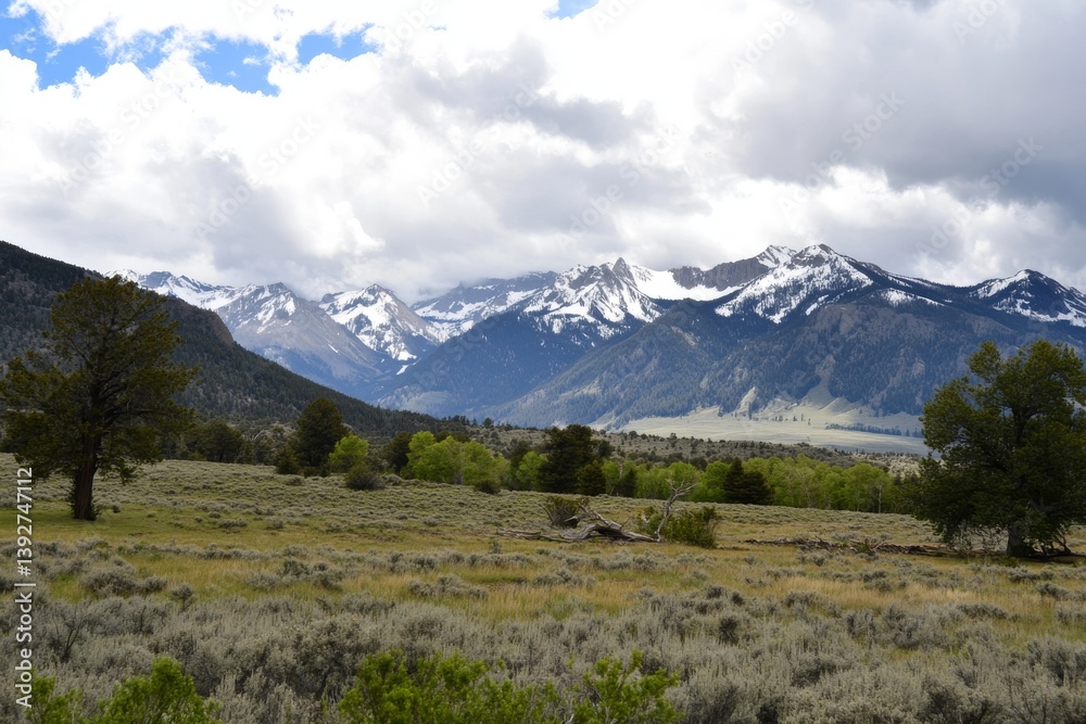 Snow-capped peaks rising above a meadow, under a bright, cloudy sky