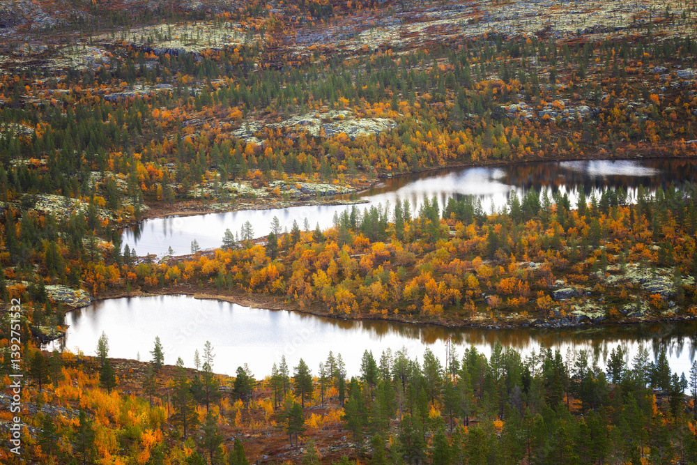 Autumn Landscapes the lake Kaskama. Kola Peninsula, Arctic Circle, Russia