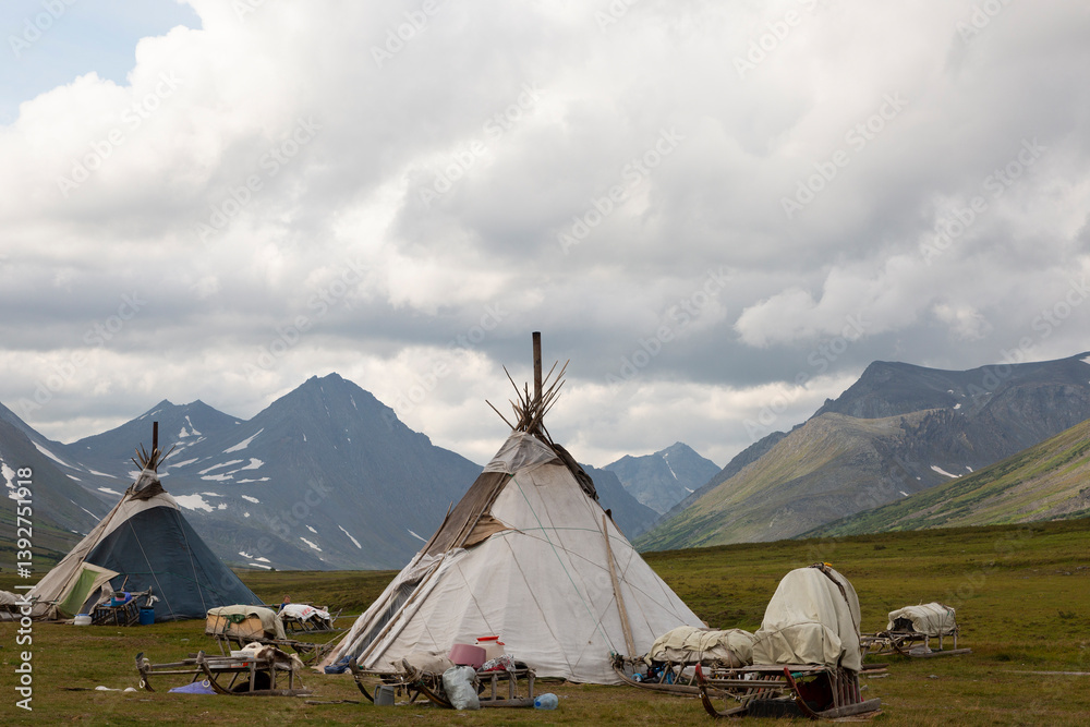Nenets reindeer herders choom on a summer. Russia, Yamal