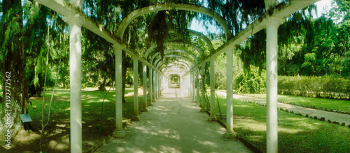 Pathway in a botanical garden, Jardim Botanico, Zona Sul, Rio de Janeiro, Brazil.