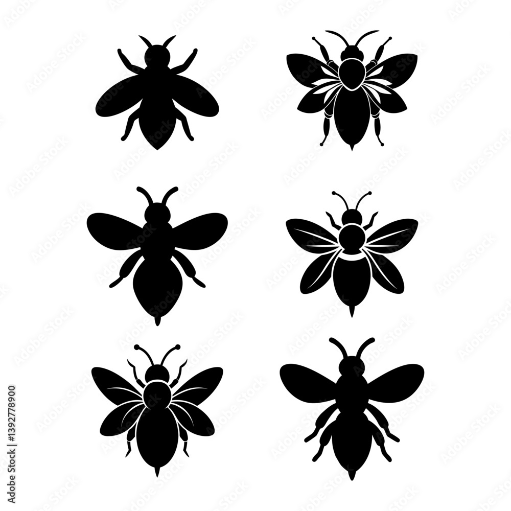 black and white Bee black and white Bee
