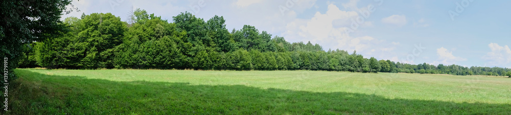 Summertime midday agricultural landscape Summertime midday agricultural landscape
