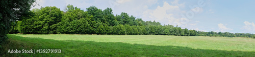 Obraz na płótnie Summertime midday agricultural landscape w salonie