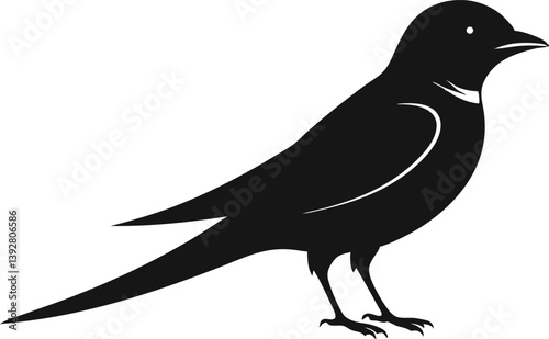 Beautiful bird opal flycatcher silhouette black color vector illustration 