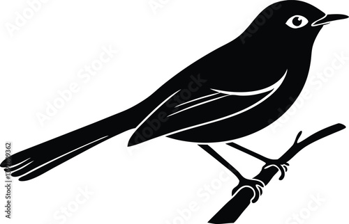  Beautiful bird opal flycatcher sitting forward on the branch silhouette black color vector illustration