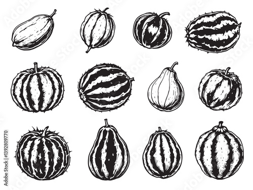 Bitter melon line art