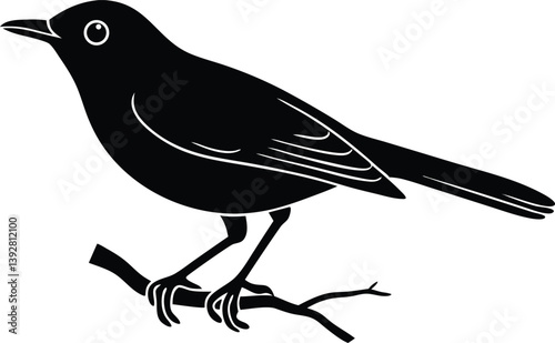  Beautiful bird opal flycatcher sitting forward on the branch silhouette black color vector illustration