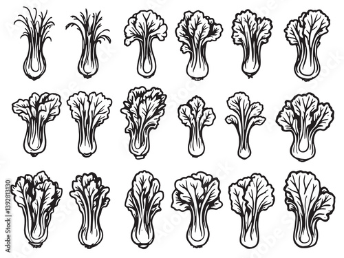 Bok choy line art