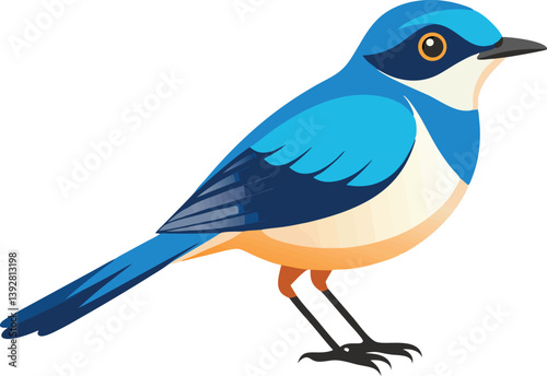 Beautiful bird opal flycatcher vector illustration 