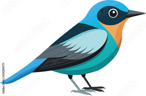 Beautiful bird opal flycatcher vector illustration 