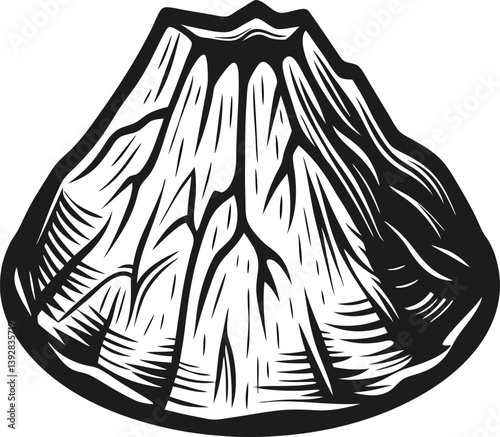 illustration of a volcano, black and white etching style, detailed geological feature, eruption concept