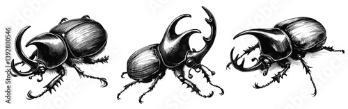 Hercules Beetle line art drawing ink sketch vector hand drawn illustration background
