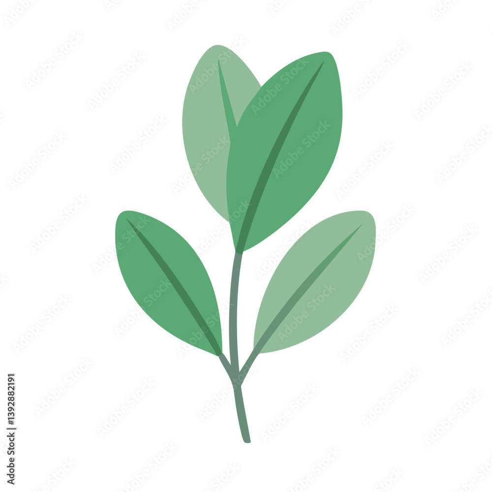 Naklejka premium Sage Leaf Graphic for Culinary Dishes