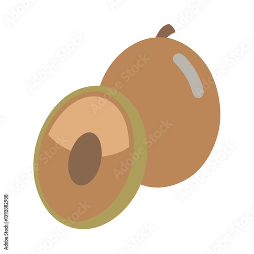  Sapodilla Vector for Exotic Desserts