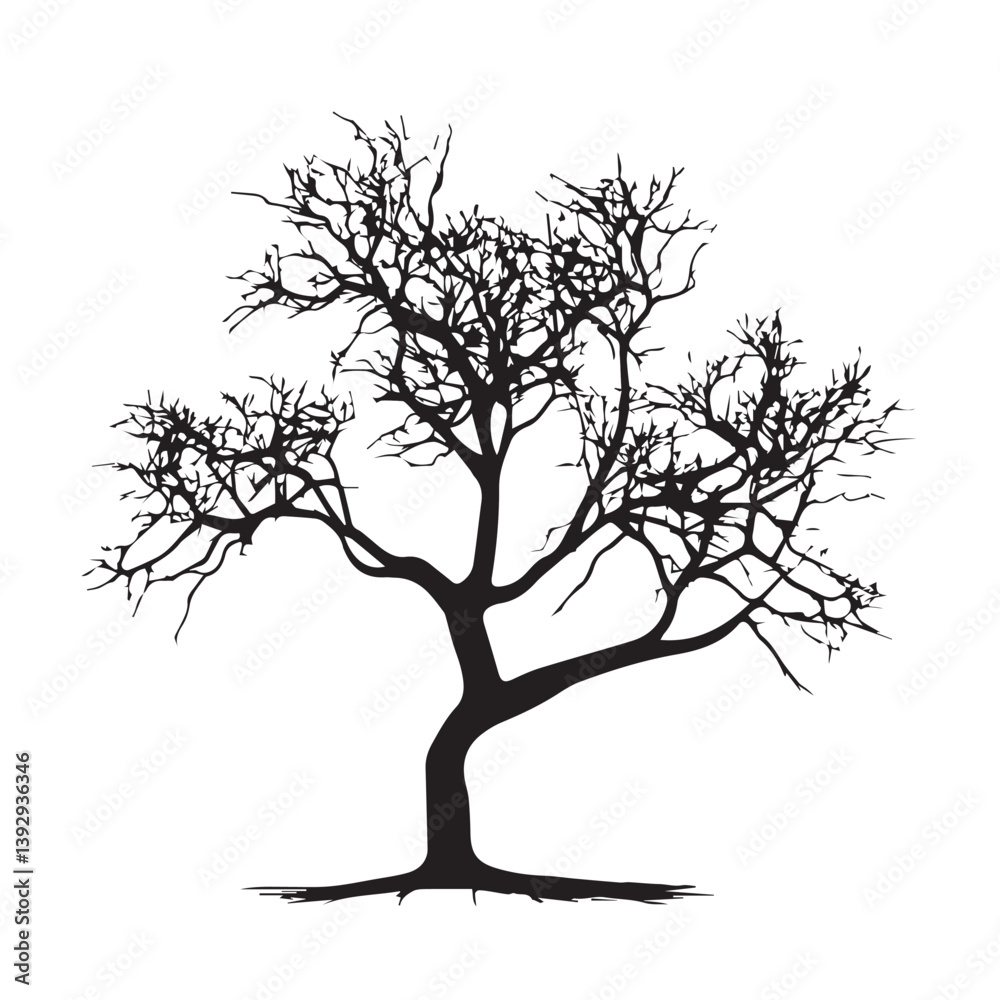 Fototapeta premium image of a tree without foliage, vector, black and white graphics 