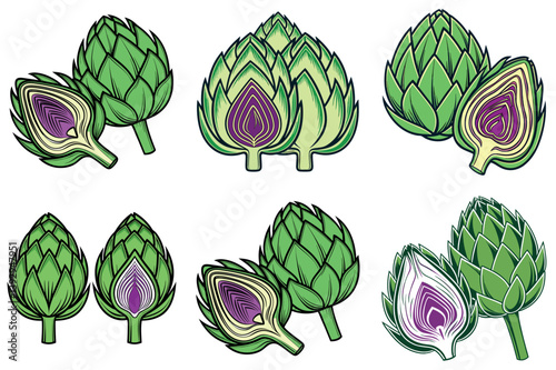 Collection of Artichoke Illustrations Showing Whole and vector illustration Cut Artichokes with Green and Purple Hues