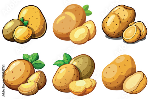 Collection of Cartoon Potatoes Whole and vector illustration Sliced Showing Different Shapes and Sizes