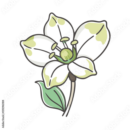 anemopsis yerba mansa flower icon, anemopsis yerba mansa flower vector illustration-simple illustration of anemopsis yerba mansa flower, perfect for anemopsis yerba mansa flower logos and icons