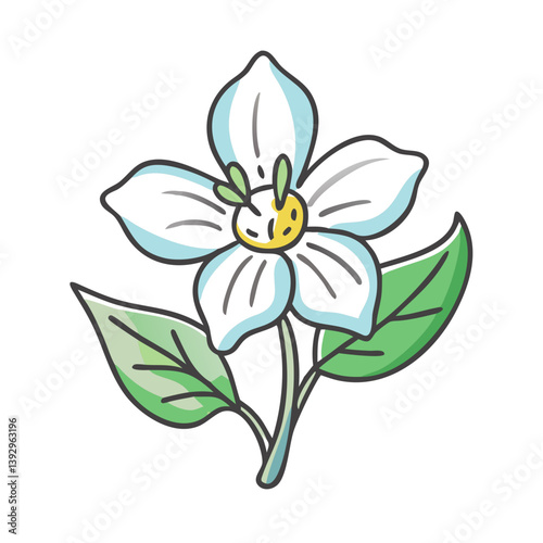 anemopsis yerba mansa flower icon, anemopsis yerba mansa flower vector illustration-simple illustration of anemopsis yerba mansa flower, perfect for anemopsis yerba mansa flower logos and icons