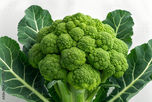 Broccoflower stock photo
Cauliflower, White Background, Broccoli, Cabbage, Cabbage Family