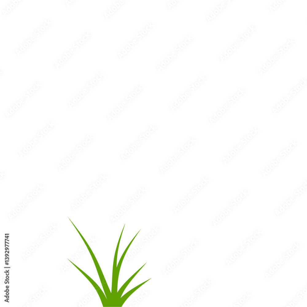 Fototapeta premium Green grass illustration