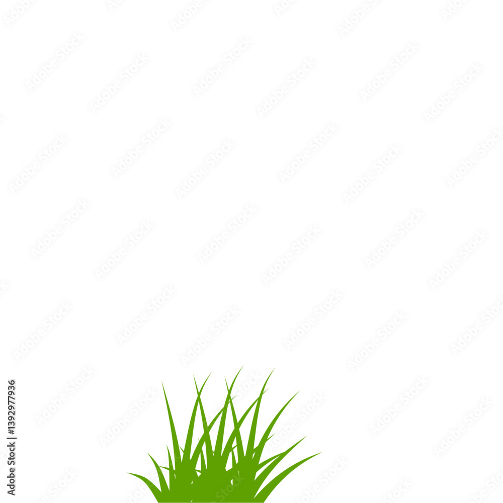 Fototapeta premium Green grass illustration
