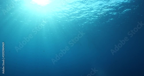 sun beams sun rays sun shine underwater nice light slow moving at the  surface  reflections relaxing ocean scenery 