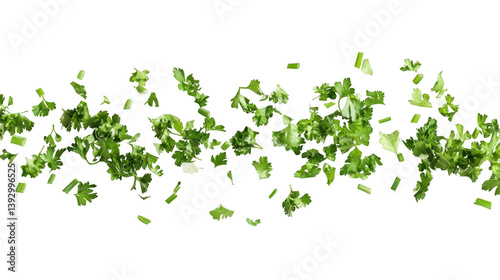 Fresh chopped parsley garnish ingredient for cooking recipes and food photography on black background