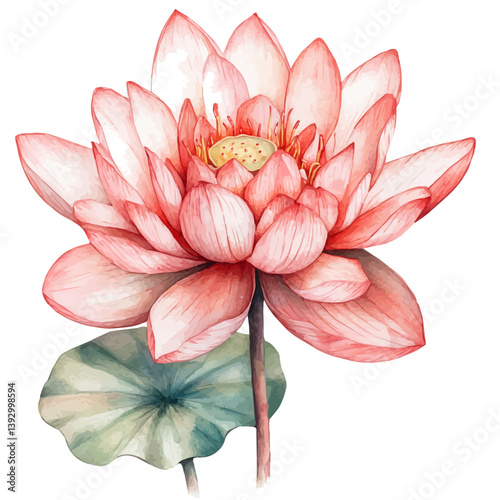 Sahlab A Beautifully Detailed, watercolor illustration, isolated on a white background.