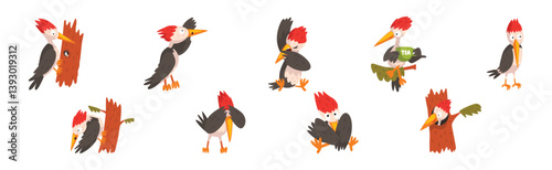 Funny Woodpecker Bird in Different Pose Vector Set