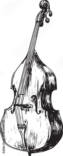 Double bass hand drawn sketch style vector