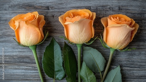 Three peach roses on weathered wood