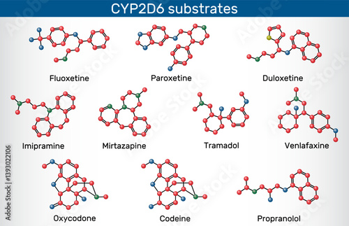 CYP2D6 substrates molecule. Fluoxetine, paroxetine, duloxetine, venlafaxine, tramadol, codeine, imipramine, mirtazapine, oxycodone, propranolol metabolized by cytochrome P450 enzyme