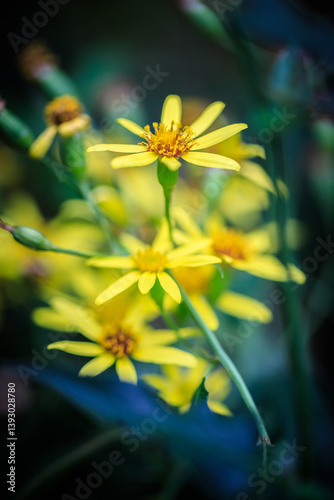 Obraz na płótnie Golden Wildflowers: A Burst of Vibrance in Nature w salonie