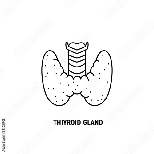 Anatomy of thyroid gland: A detailed, black-and-white illustration of the thyroid gland, the key regulator of the body's metabolism, showcasing its distinct butterfly shape.