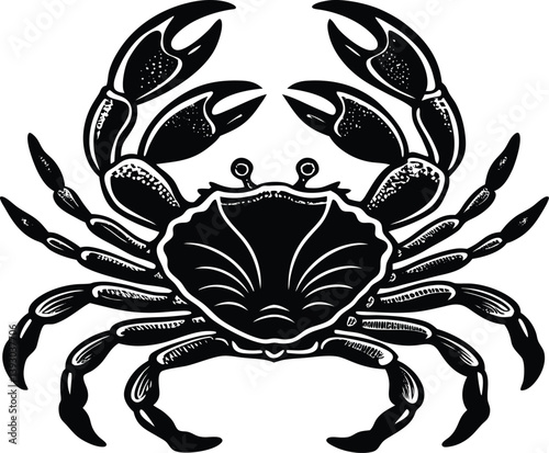 Crab Facts: Anatomy, Habitat, and Characteristics